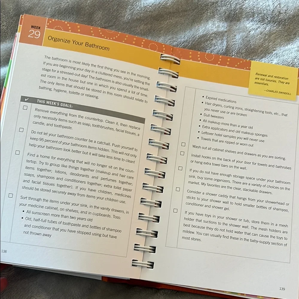Organize Now! Orange Planner by